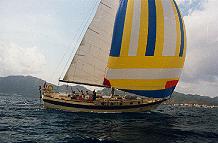 Bild von t_blister.jpg