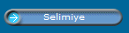 Selimiye
