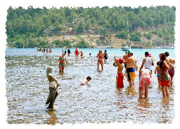 Sandbank 2