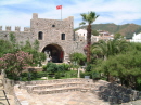 DSCF3136