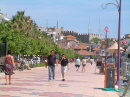 DSCF3155