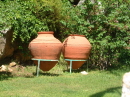 DSCF3171