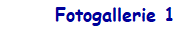 Fotogallerie 1